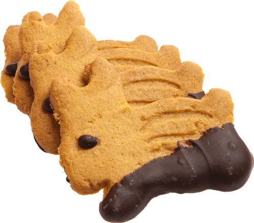 Drie Dilbeekse konijntjes: koekjes in de vorm van een konijn, met een staart gedoopt in chocolade